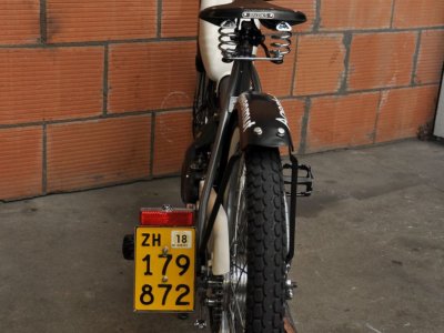 131