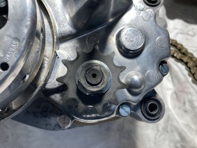 251